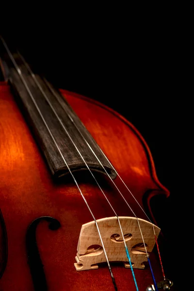 Violin close-up on a black background — Stock Photo, Image