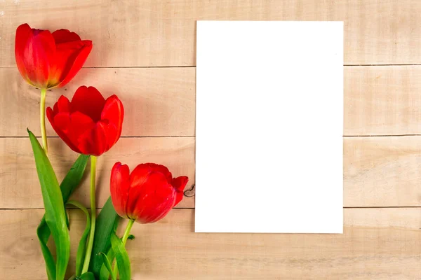 Tre röda tulpaner och ett vitt pappersark — Stockfoto
