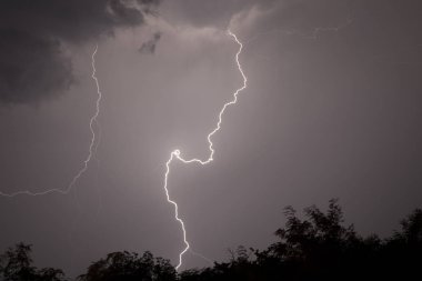 Büyük çatal Lightning'ler ve gök gürültüsü ağır yaz fırtınası sırasında.