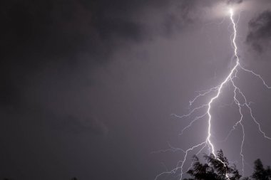 Büyük çatal Lightning'ler ve gök gürültüsü ağır yaz fırtınası sırasında.