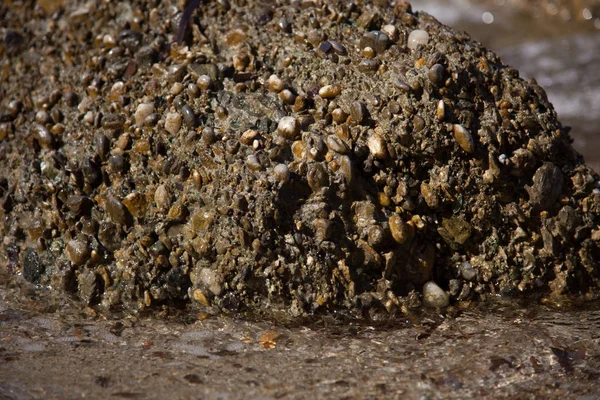 Fondo de la naturaleza de guijarros de mar, Fondo de piedra de guijarro . — Foto de Stock
