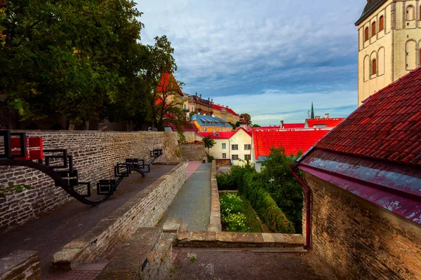 Stadsgezicht Van Tallinn Estland Herfst Zonnige Dag Gekleurde Middeleeuwse Huizen — Stockfoto