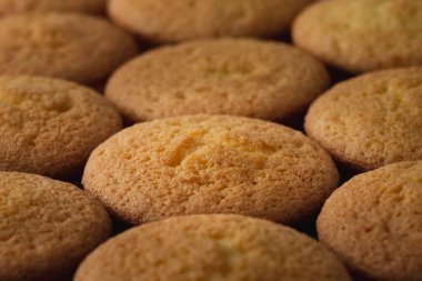 Düz peri pastaları birbirine kenetlenmişti. Hala buzlanmayı bekliyorlardı.