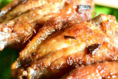 Izgara baharatlı tavuk kanatları