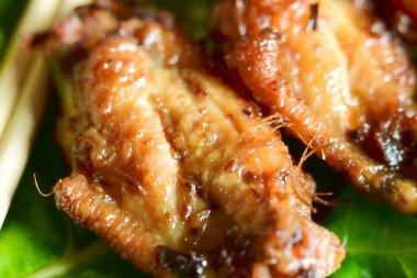 Izgara baharatlı tavuk kanatları