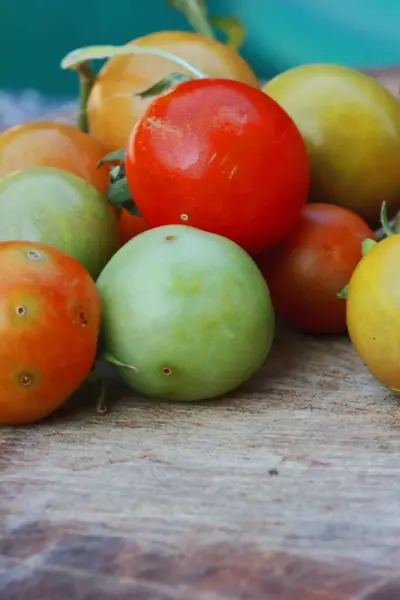 Små Färska Körsbärstomater Med Gröna Vinstockar — Stockfoto