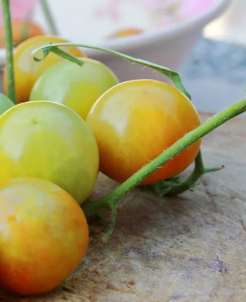 Pequeños Tomates Cherry Frescos Con Vides Verdes — Foto de Stock