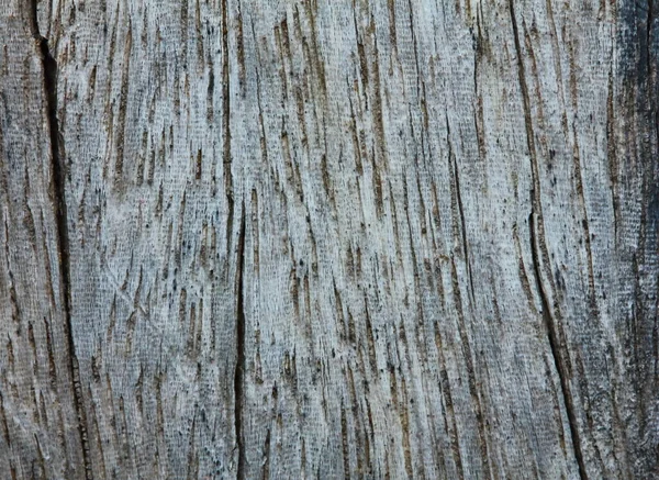 Старая Текстура Дерева Заднем Плане — стоковое фото