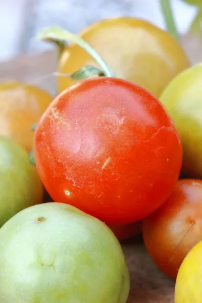 Small Fresh Cherry Tomatoes Green Vines — Stock Photo, Image