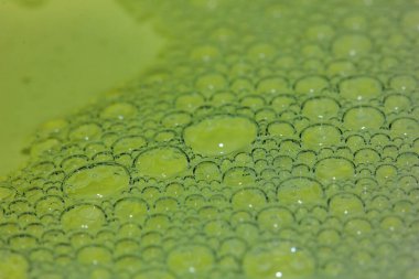 Arka planlar için makro fotoğrafçılık üzerine güzel baloncuk