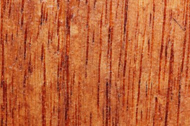 arkaplan için makrodaki eski ahşap dokusu