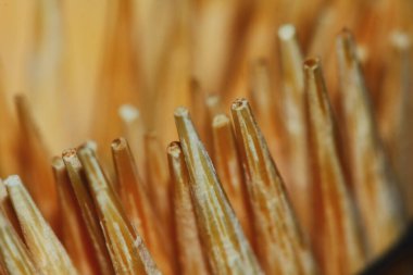 soyut ve doku arkaplanı için çok sayıda kürdan kapat