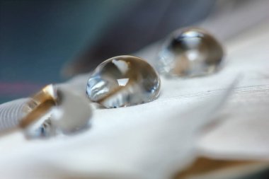 Güzel, soyut bir arka plan için tüy üzerindeki çiy tanecikleri.