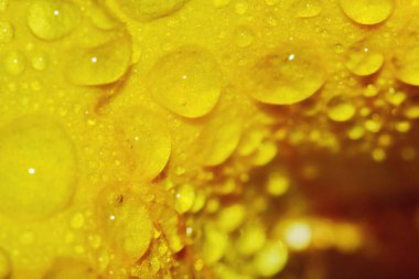 Makro damla ve sarı çiçek güzel bir arka plan için doğada