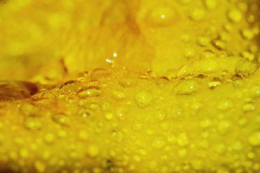 Makro damla ve sarı çiçek güzel bir arka plan için doğada