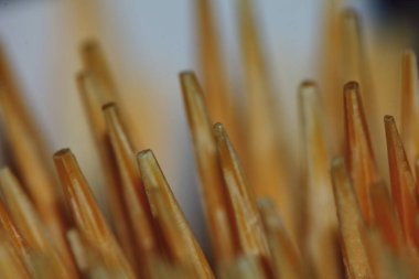 soyut ve doku arkaplanı için çok sayıda kürdan kapat