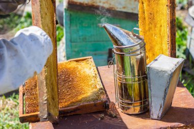 Arı kovanı üzerinde sigara içen