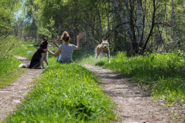ormandaki köpeklerle oturan kadın