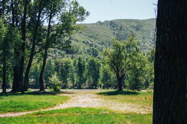 çam ağaçları dağlar ve önünde göl günbatımı ışık gökkuşağı ile akan bir nehir, kolaj yatay