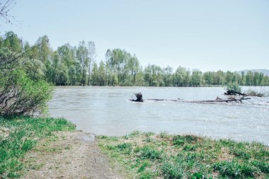 Doğu Kazakistan. Nehirler üzerinde bahar