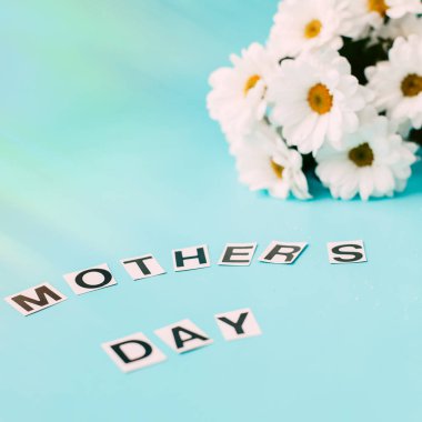 mavi zemin üzerine beyaz anneler günü çiçek