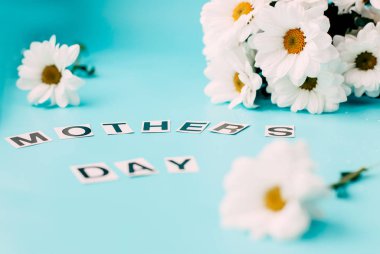 mavi zemin üzerine beyaz anneler günü çiçek