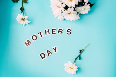 mavi zemin üzerine beyaz yaprakları çiçek