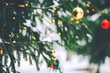 Ağacın üzerinde Noel topları