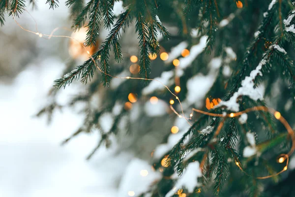 Christmastree háttér fények — Stock Fotó