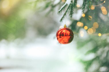 Ağacın üzerinde Noel topları