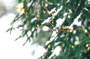 Işıklı Noel arkaplanı