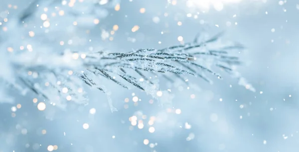 Christmas tree background — Stock Photo, Image