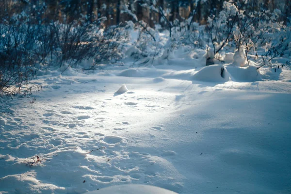 Blanc hiver texture neige — Photo