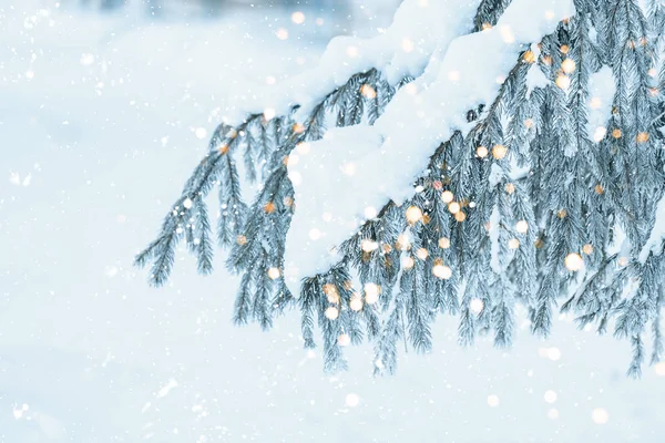 Christmas background with snowy fir trees — Stock Photo, Image