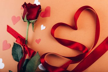 Mesaj kartlı kırmızı gül..