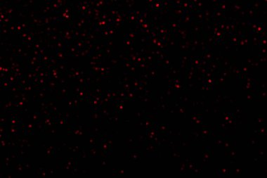 Siyah arkaplanda parlayan ışıklar