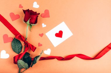 Mesaj kartlı kırmızı gül..