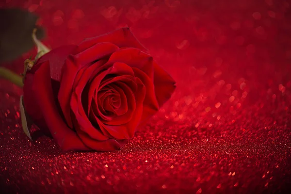 Rose on sparkling red background. — Stock Photo, Image