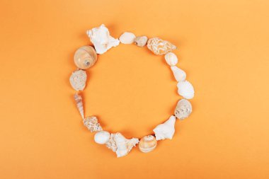 Çember şeklinde deniz kabuğu koleksiyonu.