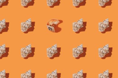 Turuncu arka planda deniz kabuğu deseni.