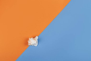 Seashell on blue and orange background.