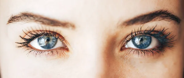 Close-up van blauw oog — Stockfoto