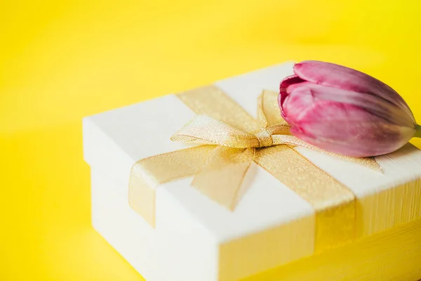 Фиолетовый Тюльпан Подарком Красивый Золотой Лук Желтом Фоне Весеннее Время — стоковое фото