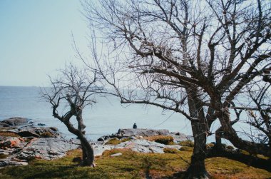 Yalnız bir adam, Uruguay, Colonia del Sacramento 'nun tarihi bölgesinde Rio de La Plata üzerinde huzurlu ve sessiz bir manzarada kayaların üzerinde oturuyor..