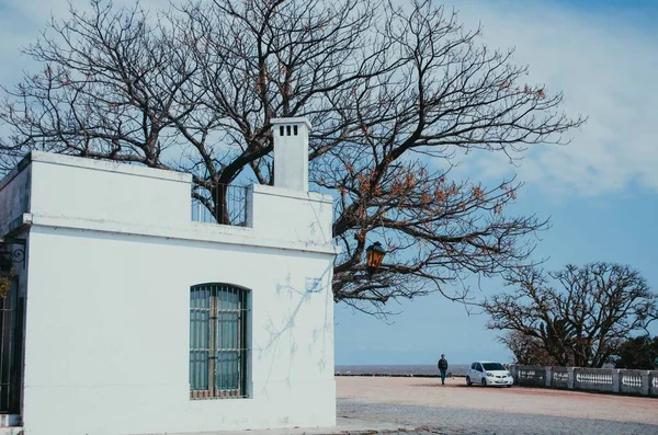 Colonia Del Sacramento, Uruguay - 10 Eylül 2018: Yaşlı bir ağacın önündeki beyaz duvarlı orta büyüklükte bir koloni evi ve caddelerde bir arabanın önünde küçük bir erkek figürü.