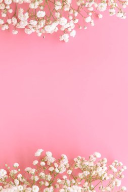 Beyaz bebek nefesi, pastel pembe arka planda ve dikey olarak fotokopi alanı. Sevgililer Günü için ya da düğün arkaplanı tasarımı için tatlı ve güzel bir duvar kağıdı. Çingene çiçeği sonsuza dek aşktır..