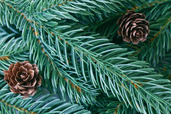 Christmas Decoration Background Pine Leaves Pine Cones Top View Flat — Stock Photo, Image