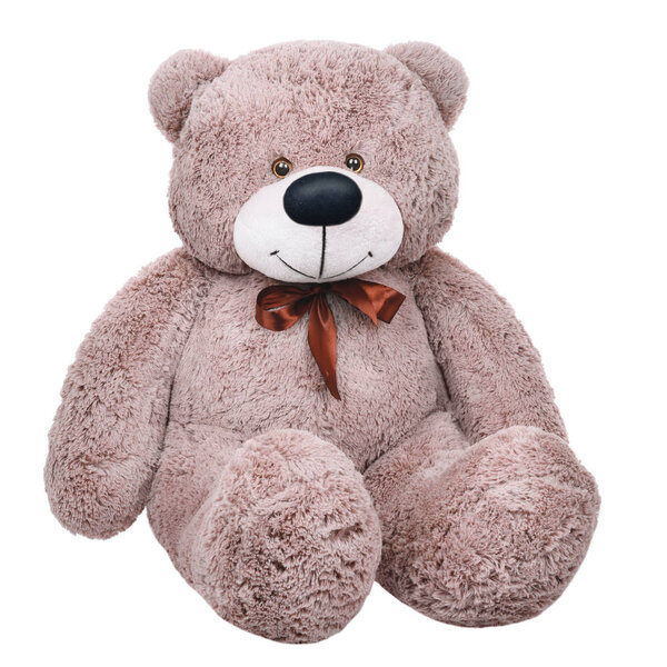 Grey toy plush teddy bear