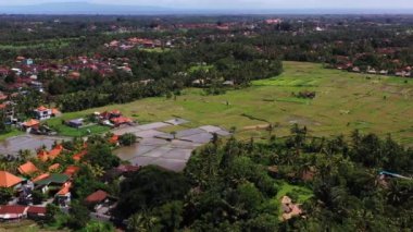 Panorama ubud bali güzel manzara