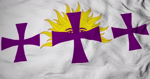 Full Frame Animation Hispanidad Flag Waving — Stock Video